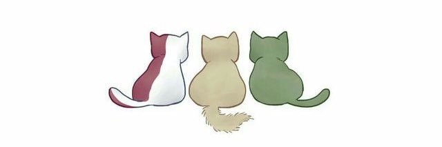 Cata 💋 banner