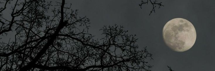 alvamaraa's profile banner image