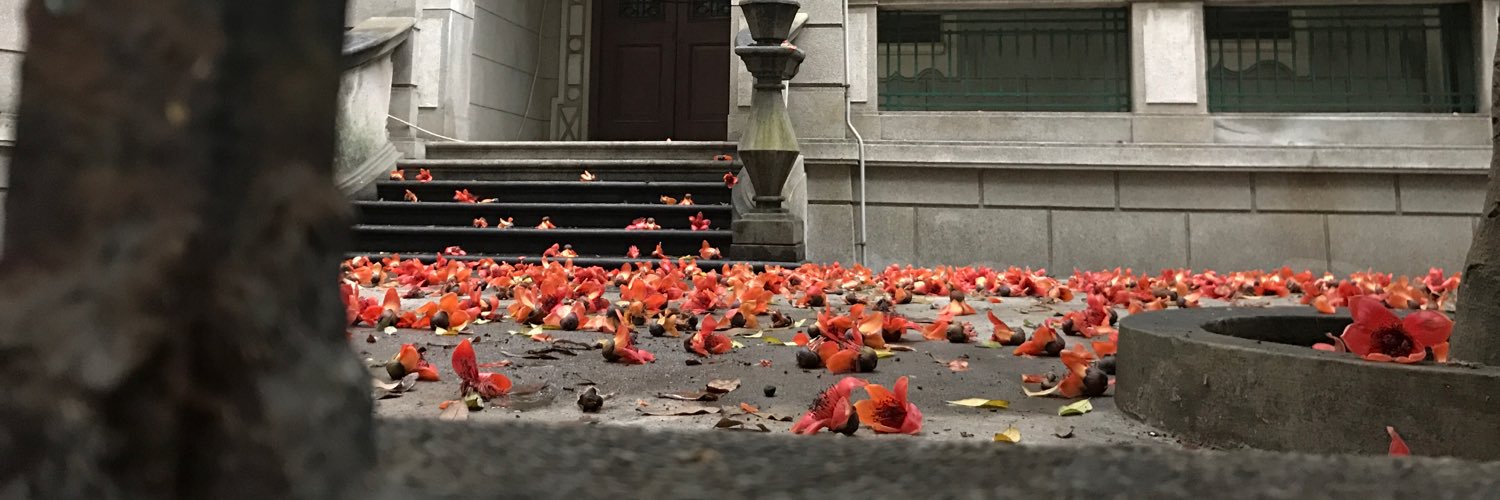 peipeipei's profile banner image