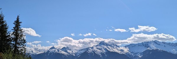 FlockonUS Profile Banner