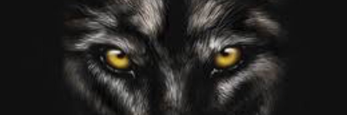 Alone wolf banner
