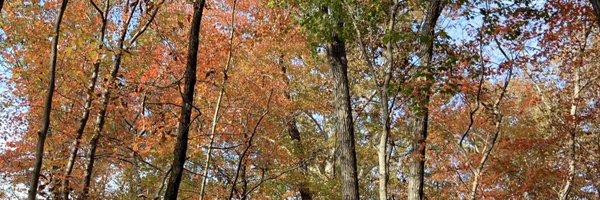 AadraBhatt Profile Banner