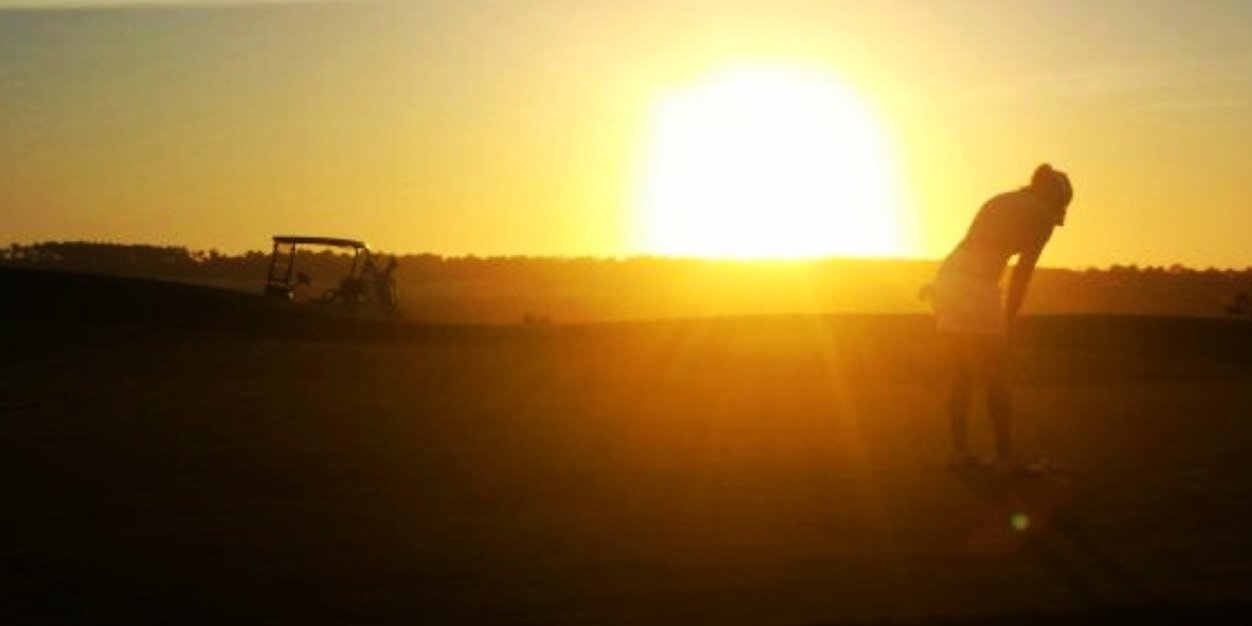 Alison Whitaker banner