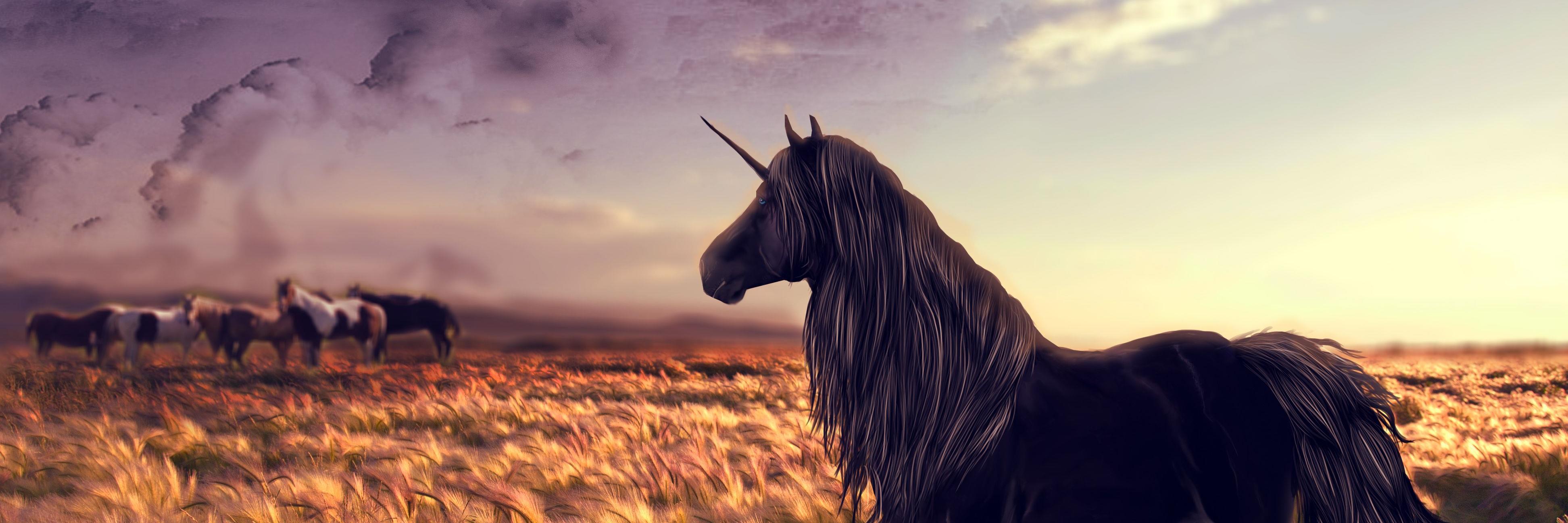 TheRoyalGremlin's profile banner image