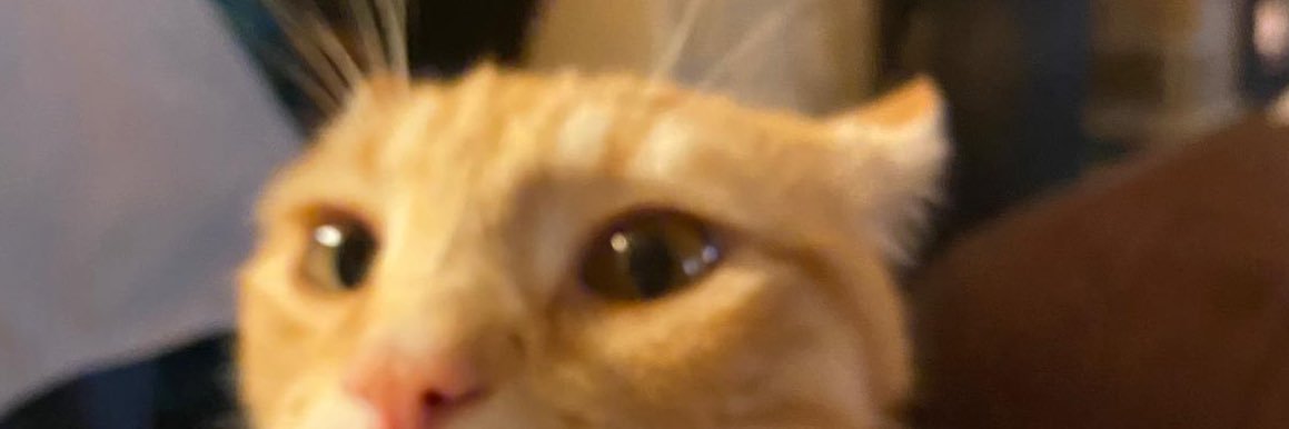 RoxaneBcm's profile banner image