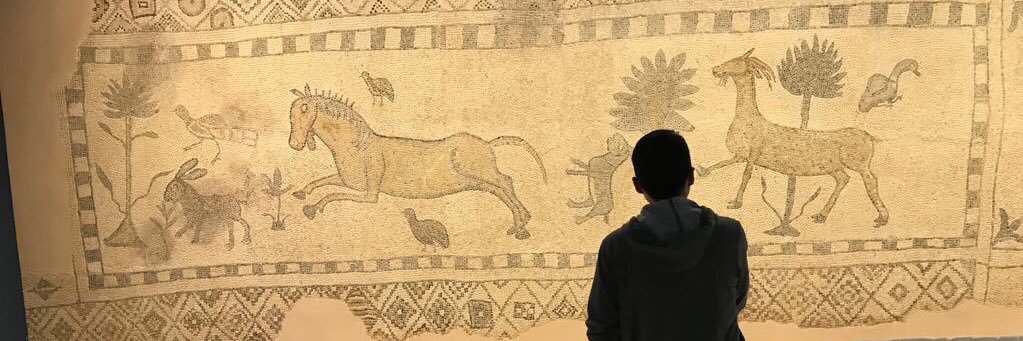 BhdrSNCR's profile banner image