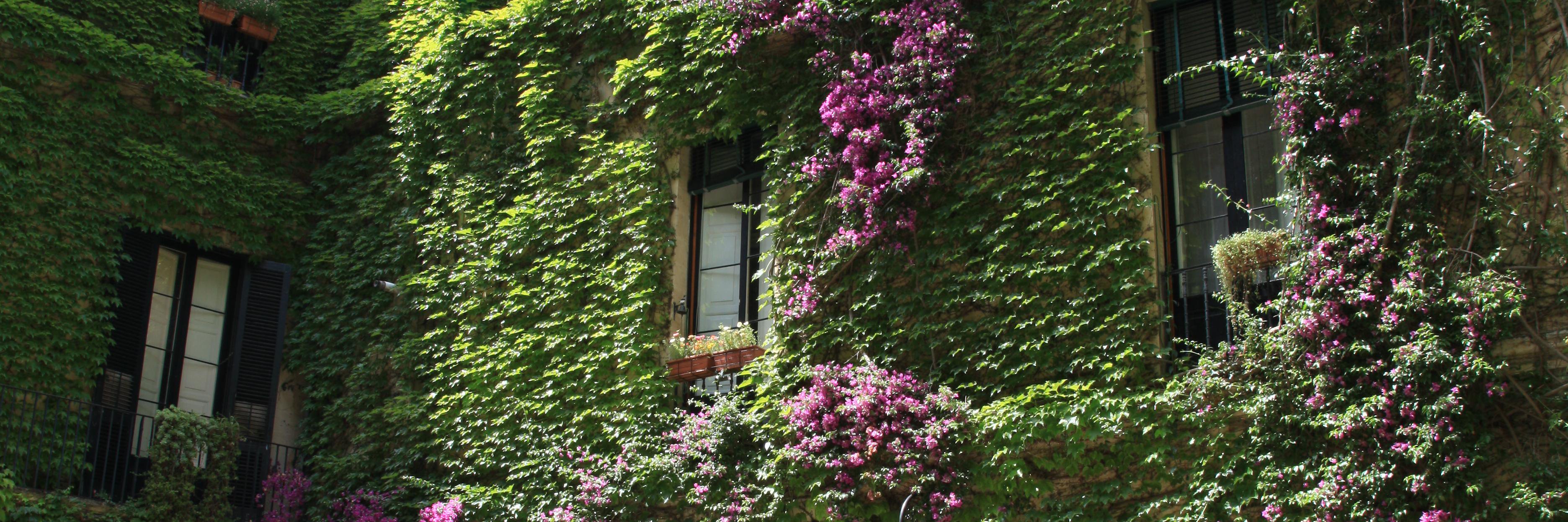 PalazzoRollo's profile banner image