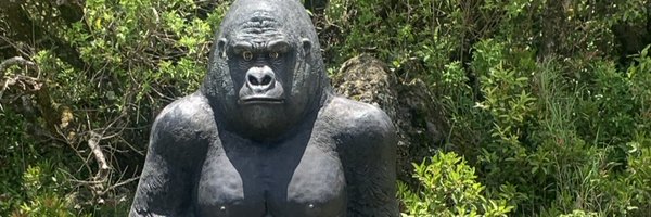 9Rxzyn Profile Banner