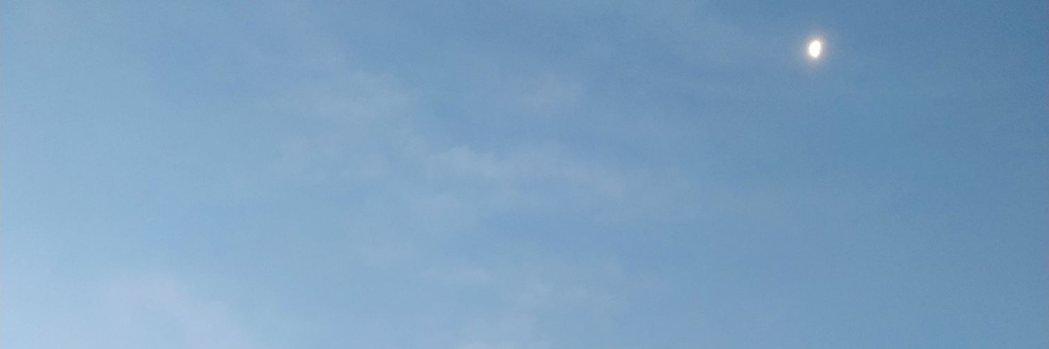 e_curioni's profile banner image