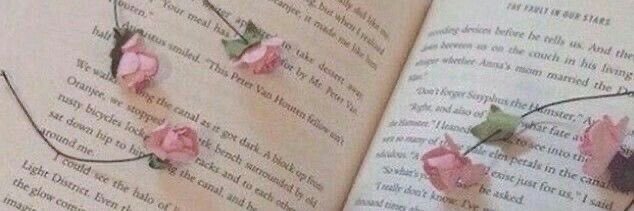 جــواهــر ✨ banner