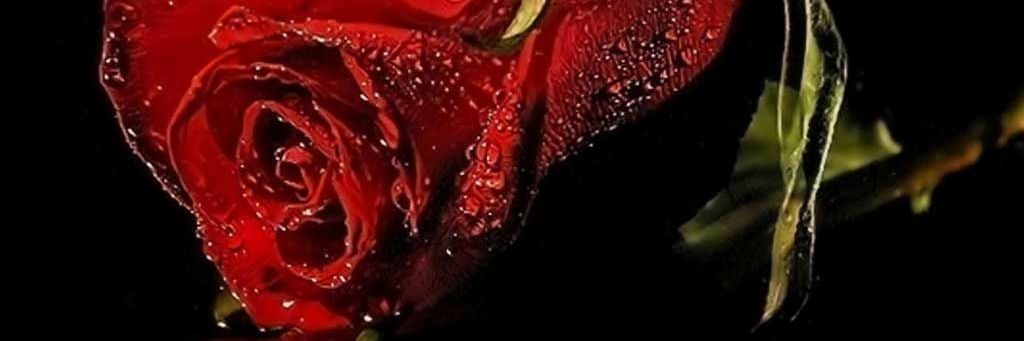 CLAPYGO's profile banner image