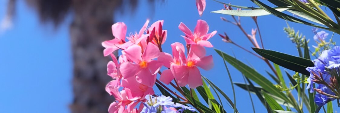 leabeurette's profile banner image
