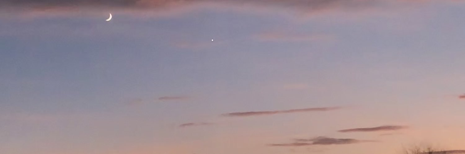 AmyPriced's profile banner image