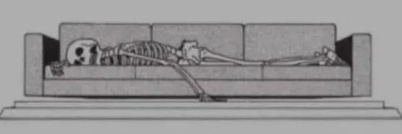 SeickoBee 🇲🇽🇷🇺🇵🇸🇮🇷🇨🇺 banner