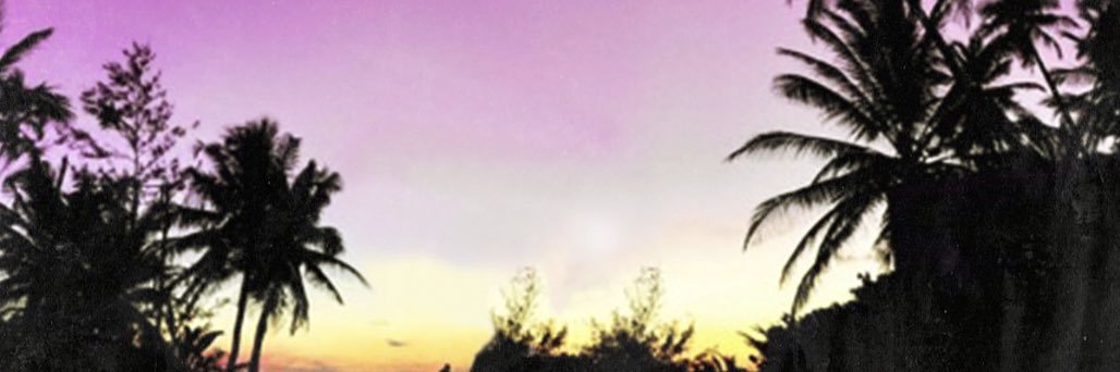 Chapple banner