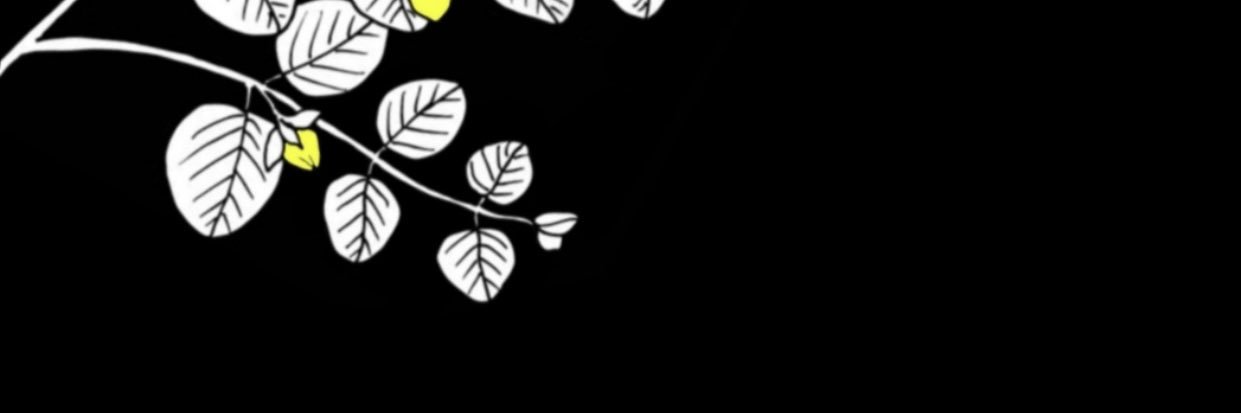 CreepingJennie_'s profile banner image