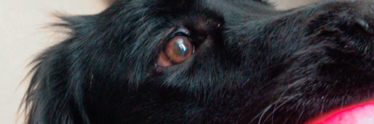 kamilapl_'s profile banner image