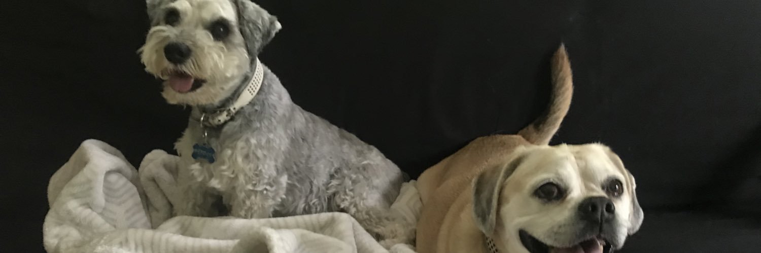 jasminealene's profile banner image