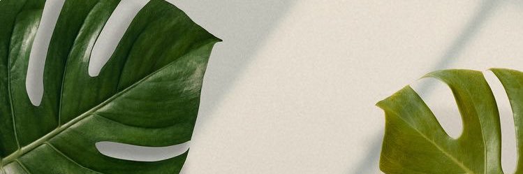 daneshathorne's profile banner image