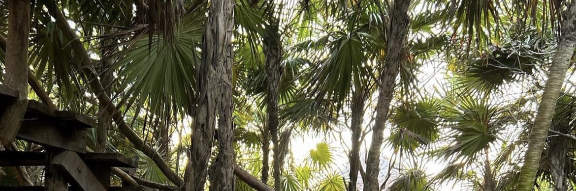 TNumbha's profile banner image