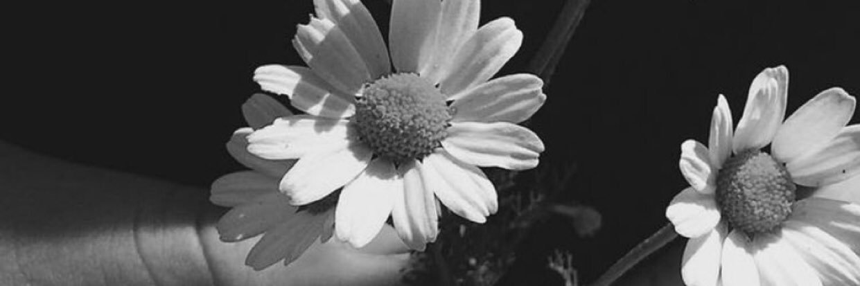 ꪑꫀꪖᦔ ♉︎ banner