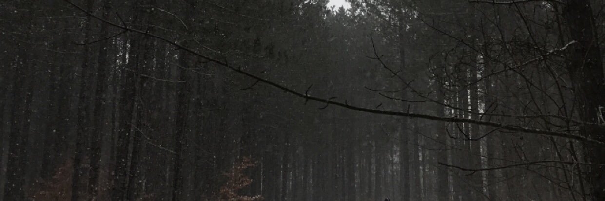 trevorbuehrer's profile banner image