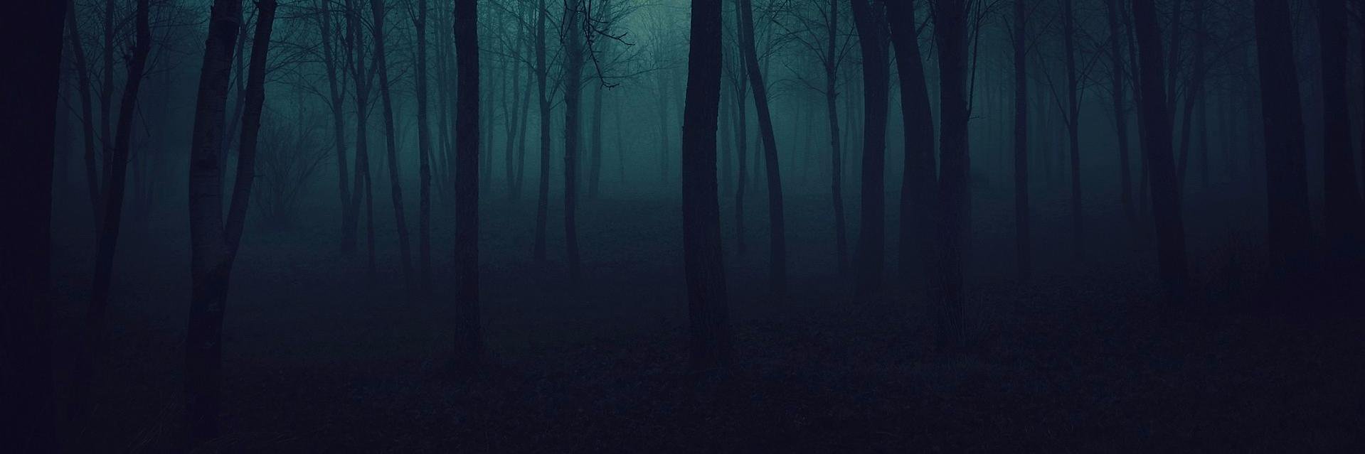 Darkesilk's profile banner image