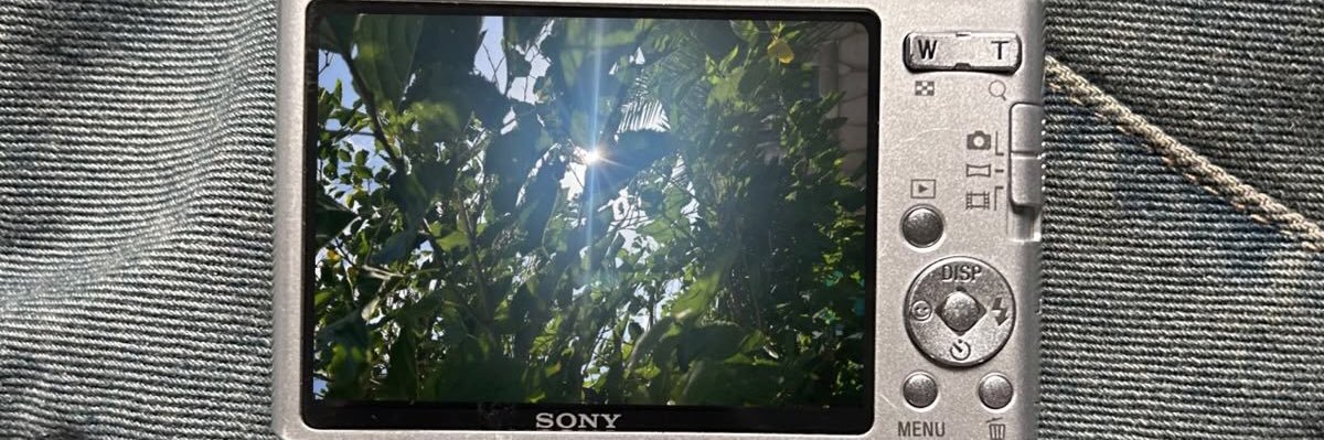 nes | mt after dm 🤞🏻 banner