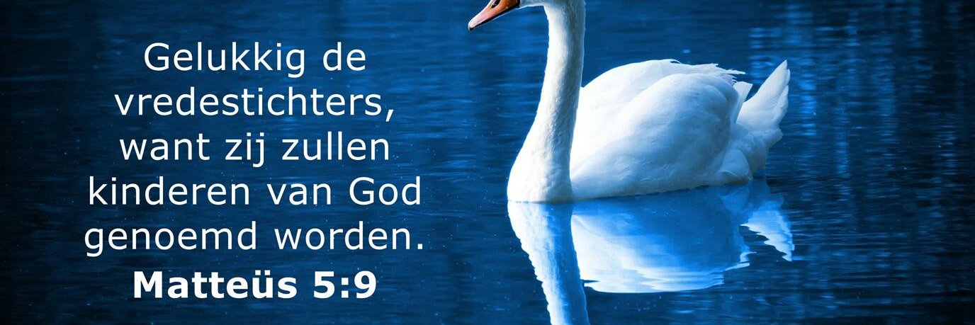 Ruud G.V 🇮🇱🇳🇱 banner