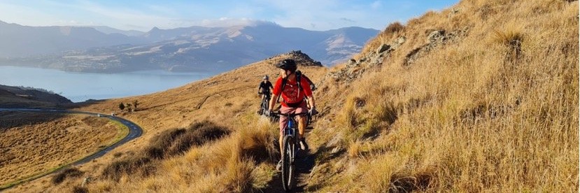 Kim Ellery 🔍🇳🇿 🇨🇦 banner