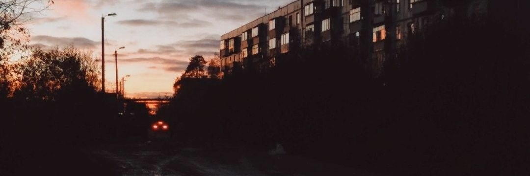 TheCrazyLizard's profile banner image