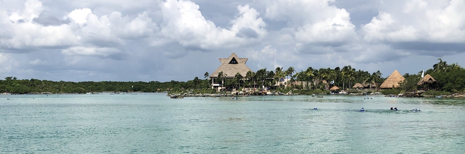 Fried Drexler banner