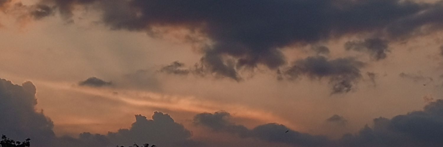 hwinterbin's profile banner image