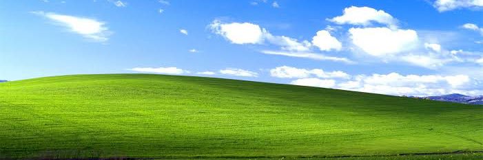 Ｗｈｉｔｅ Ｐｏｌｅ banner