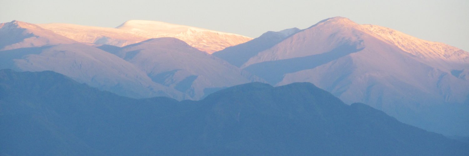 pedrobianco1's profile banner image
