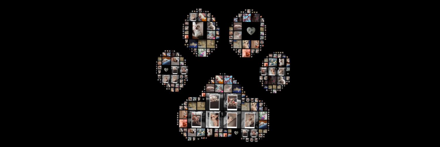 Solangiegc03's profile banner image