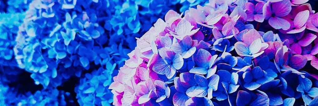 Kinoco105's profile banner image