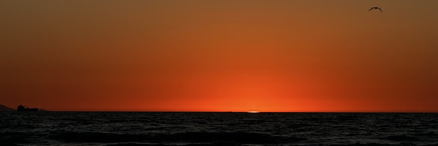 Sarah_3135's profile banner image