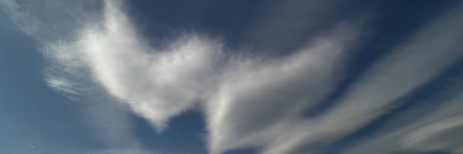 MonchiVivre's profile banner image
