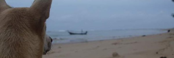 WzGTO2022 Profile Banner