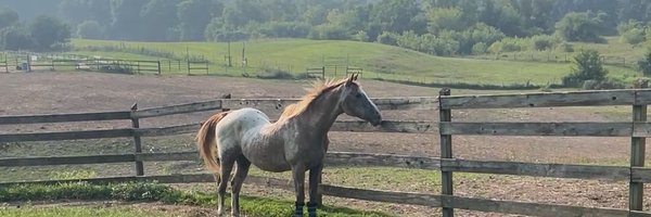 BroadwellK Profile Banner