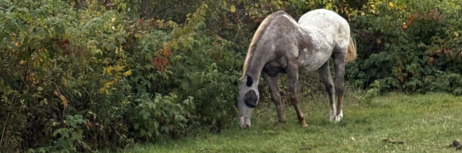 Kennedy Broadwell banner