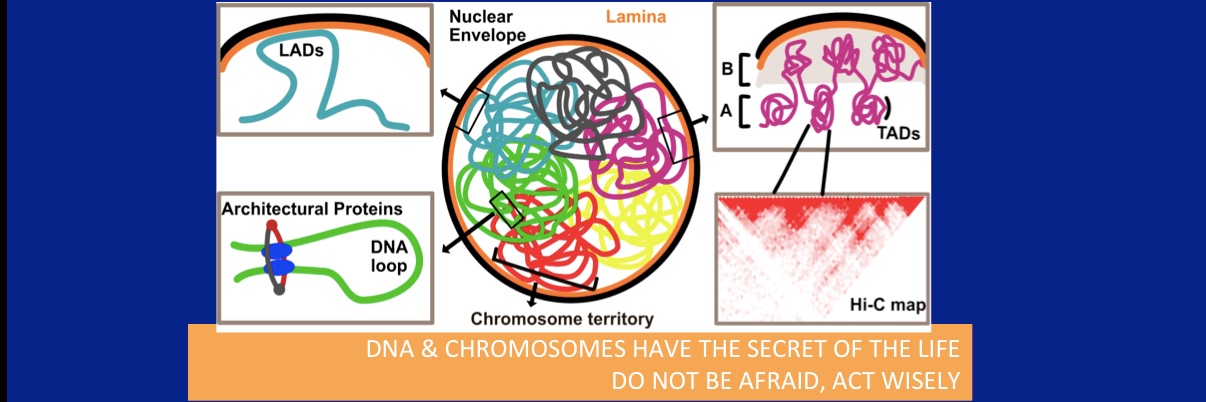 JULIO SOLIS-Bioinformatician & Molecular Biologist banner