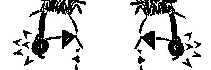 tonedefrecords's profile banner image