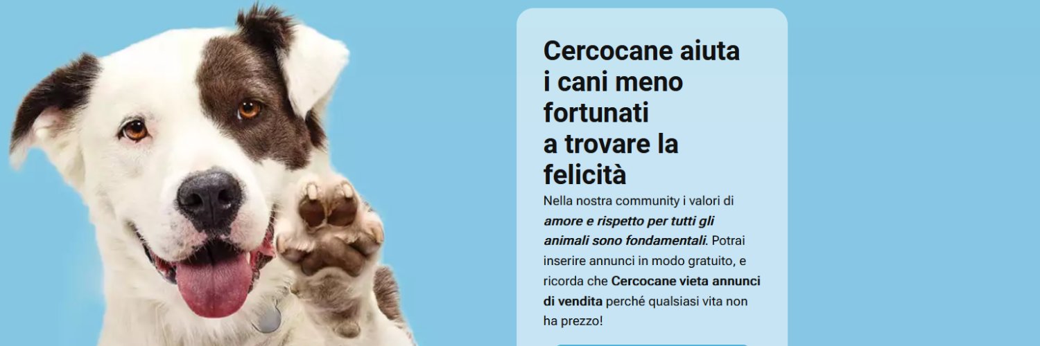 cercoCane's profile banner image