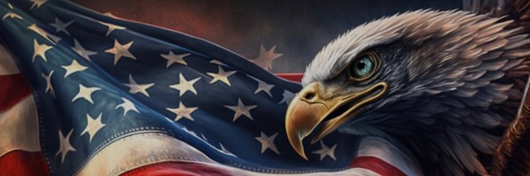 Mickey 🇺🇸🦅 banner