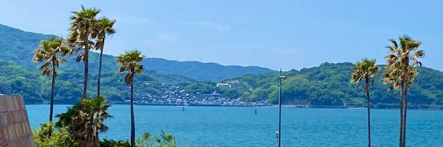 どんちゃん banner