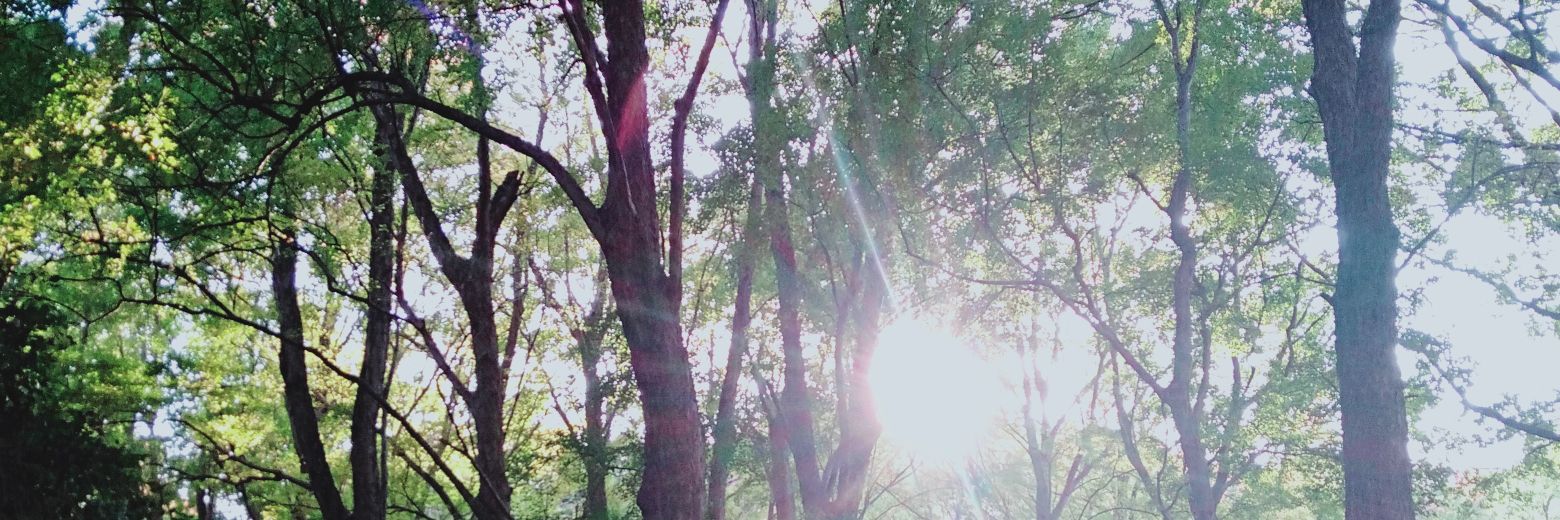 Herecomethesun4's profile banner image
