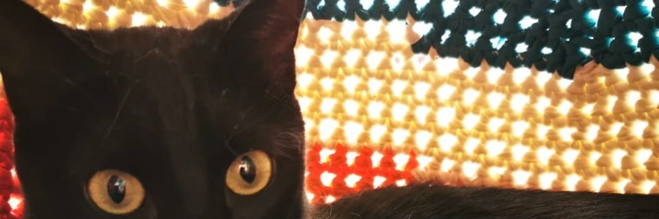 naztchia's profile banner image