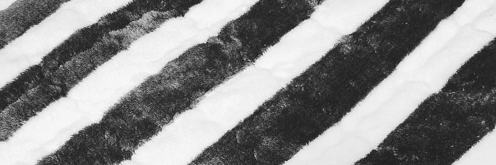 babosmdc's profile banner image